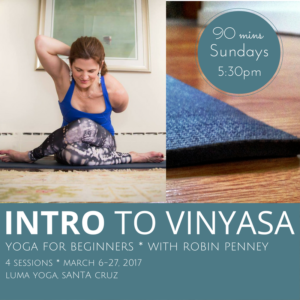 Beginners Yoga Series - An Introduction to Vinyasa in Santa Cruz
