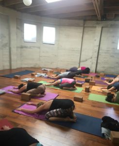 Group Yoga Class at Luma Yoga in Santa Cruz