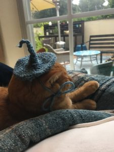 Felix contemplating life in hat