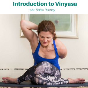 Introduction to Vinyasa Yoga Series
