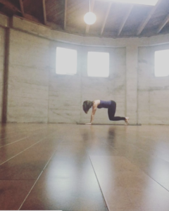 Robin Penney Yoga - Tabletop Knee Hover