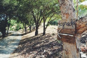 Yoga and Wine Retreat California Sagrada Sign