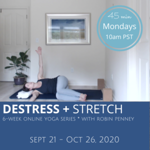Destress and Stretch Yoga Class