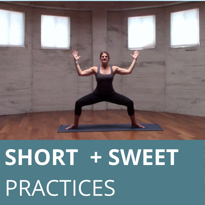 Short + Sweet Image - Robin Penney Yoga