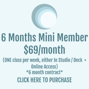 6 Months Mini Membership