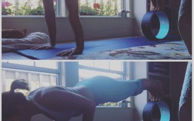 12 Ways to Use Your Yoga Wheel
